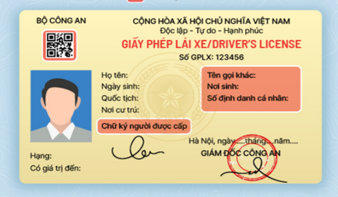 Tra cứu giấy phép lái xe theo tên