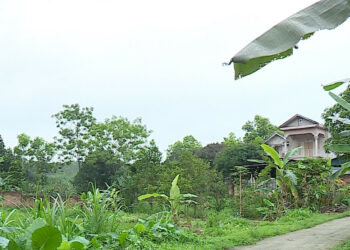 Vượt hạn mức đất ở có được bán không