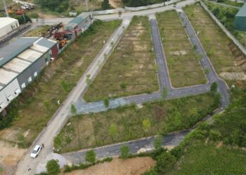 Diện tích tách thửa đất ở Đồng Nai năm 2023 là bao nhiêu?