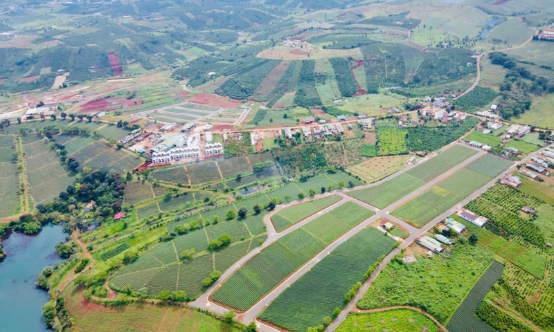 Điều kiện tách thửa đất nông nghiệp Lâm Đồng năm 2023