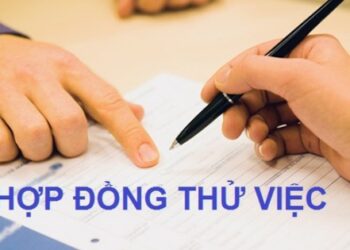 Hợp đồng tập nghề có phải đóng BHXH hay không?