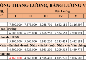Mẫu thang bảng lương của công ty TNHH mới năm 2023