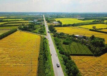 Mức xử phạt hành vi sử dụng đất sai mục đích năm 2023