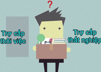 Phải làm sao khi công ty không trả trợ cấp thôi việc?