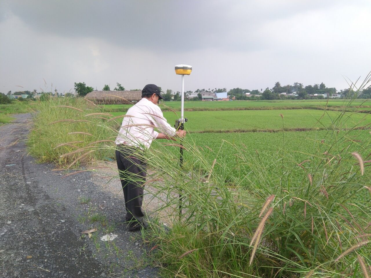 Quy định quản lý đất nông trường như thế nào?