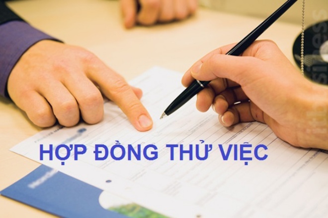 Quy định về thời gian học việc và thử việc năm 2023