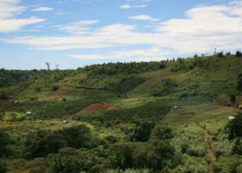 Thuê đất sử dụng sai mục đích có bị thu hồi không?