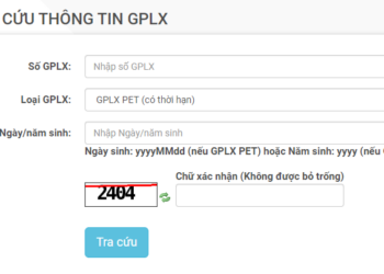Tra cứu giấy phép lái xe bị mất như thế nào
