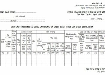 Mẫu báo cáo tình hình đóng BHXH, BHYT bắt buộc