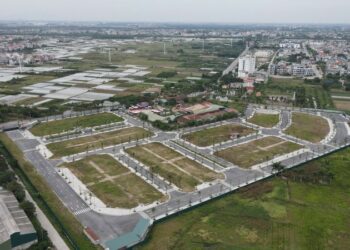 Mẫu đơn xin điều chỉnh vị trí đất ở như thế nào?