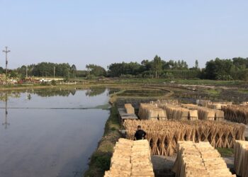 Chuyển đổi đất nông nghiệp sang đất nuôi trồng thủy sản như thế nào?