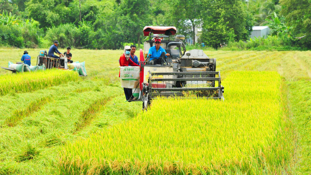 Đất chuyên trồng lúa nước là gì