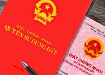 Mẫu đơn chuyển nhượng đất cho cháu mới năm 2023