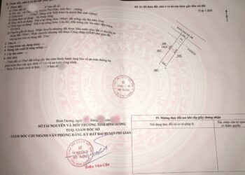 Quy trình xác minh nguồn gốc đất năm 2023 như thế nào?