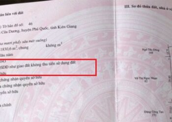 Thẩm quyền xác định nguồn gốc đất là cơ quan nào?