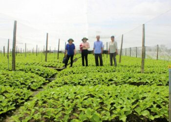 Luật đất đai về hợp tác xã năm 2023 như thế nào?