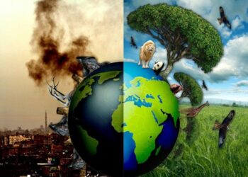 Mẫu đơn khiếu nại về ô nhiễm môi trường mới nhất