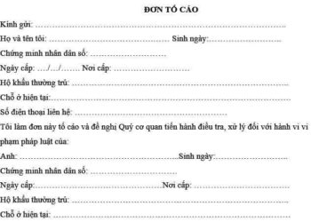 Mẫu đơn tố cáo làm giả giấy tờ lừa đảo tài sản mới năm 2023
