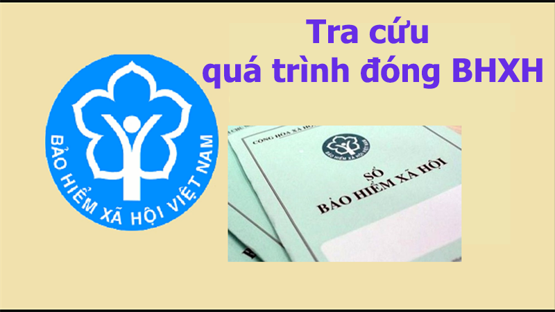 Tại sao không tra cứu được quá trình đóng BHXH?