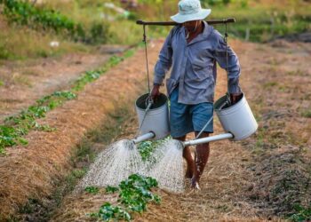 Thủ tục chuyển từ đất thuê sang đất giao được thực hiện như thế nào?
