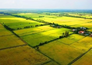 Xử lý thế nào khi bán đất thiếu diện tích?