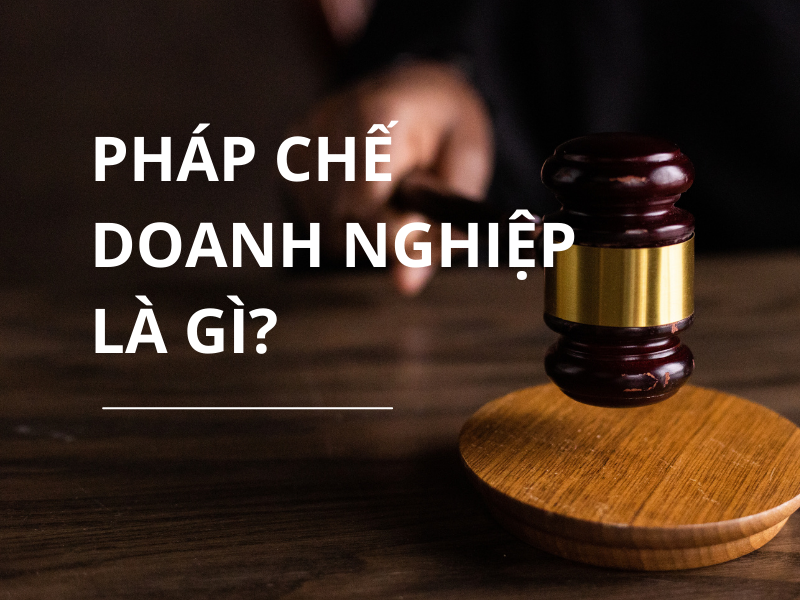 Làm pháp chế yêu cầu có những kỹ năng gì?