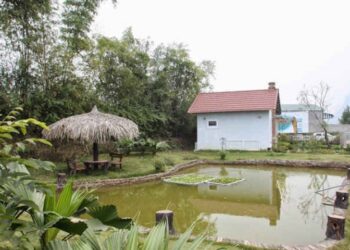Cách chuyển đổi đất ao sang thổ cư nhanh chóng năm 2023