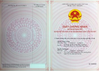 Hồ sơ xin cấp giấy chứng nhận quyền sử dụng đất lâm nghiệp