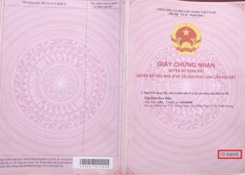 Mẫu sổ cấp Giấy chứng nhận quyền sử dụng đất