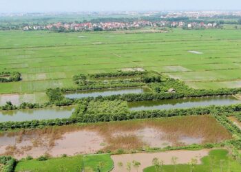 Đất 64 có làm được sổ đỏ không theo quy định?