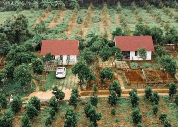 Đất sử dụng ổn định, không tranh chấp có được cấp sổ đỏ không