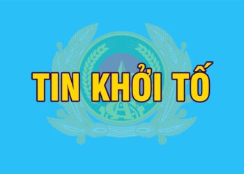 Giám đốc Công ty Mua bán điện của EVN bị bắt đối diện tội gì?