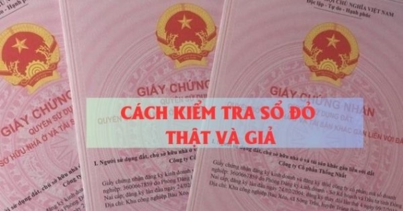 Phân biệt sổ đỏ thật và giả như thế nào?