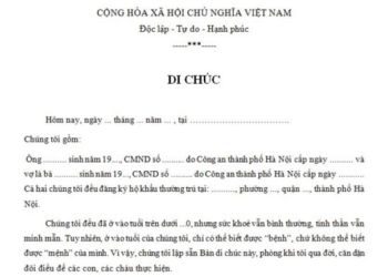 lập di chúc thừa kế cho một người con