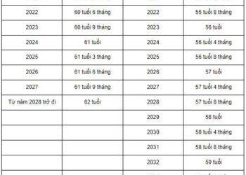 quy định về độ tuổi lao động