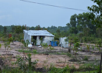 Có được dựng lều tạm trên đất nông nghiệp hay không?