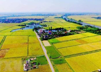 Hạn mức công nhận quyền sử dụng đất nông nghiệp hiện nay