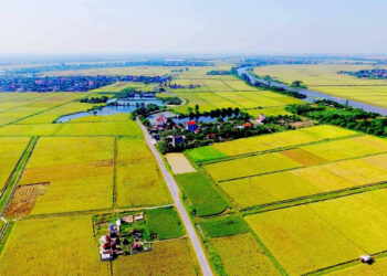 Hạn mức nhận chuyển nhượng đất nông nghiệp 2023