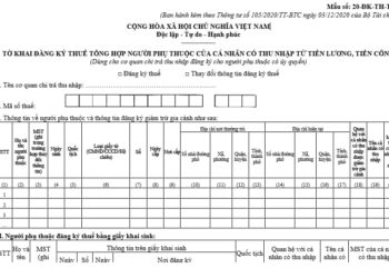 Hồ sơ đăng ký người phụ thuộc là con gồm những gì?