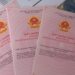 Mẫu Giấy hẹn trả kết quả sổ đỏ mới năm 2024