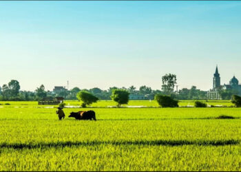 Quy định về đăng ký biến động đất đai thế nào?