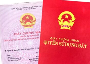Sổ đỏ không có số tờ số thửa có thật hay không?