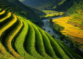 Sửa nhà trên đất nông nghiệp như thế nào?