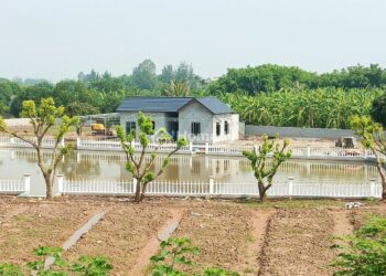 Cách xây nhà trên đất ao như thế nào?