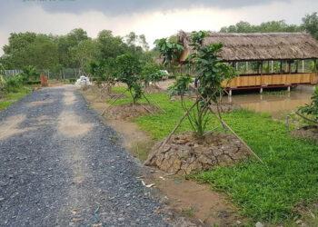 Đất ao có lên thổ cư được không?