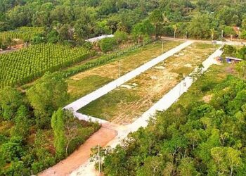 Sử dụng đất sai mục đích có được bồi thường không?