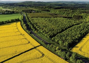 Cách định giá đất nông nghiệp