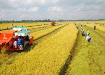 Đòi lại đất đã giao cho người khác sử dụng như thế nào?