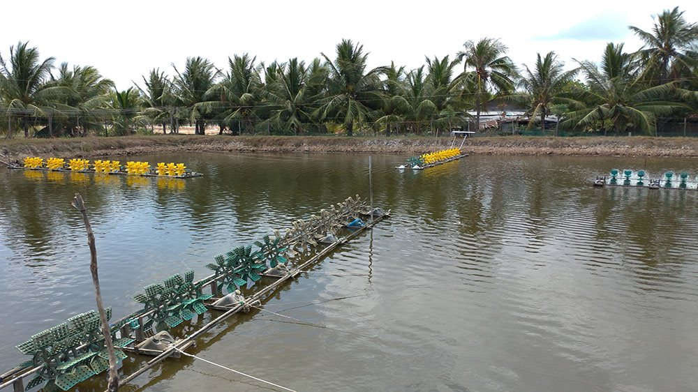 Ký hiệu đất nuôi trồng thủy sản
