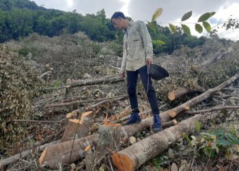 Hành vi lấn chiếm đất công